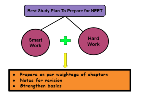 Best study plan for NEET 2023 exam