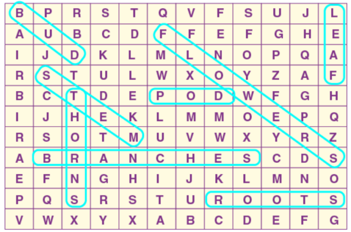 NCERT Solutions For Class 4 English Chapter 7 The Watering Rhyme The 