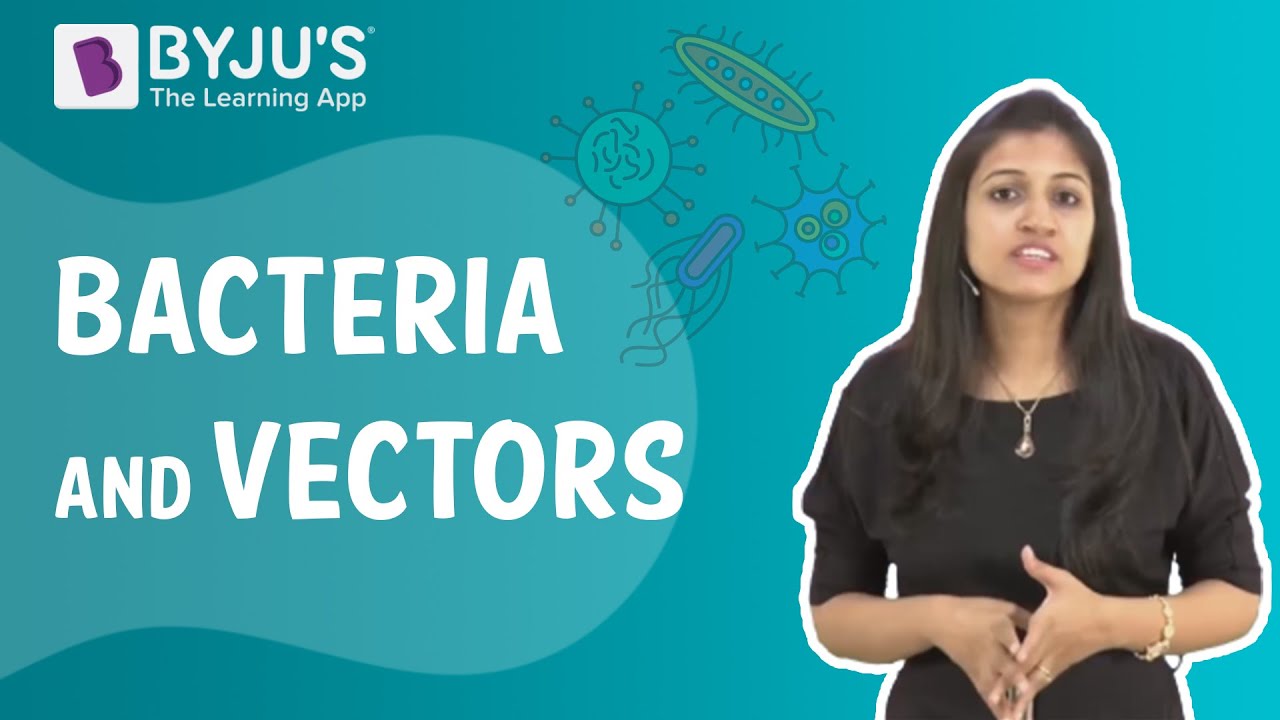 Write a note on bacteria and vectors. Maths Q&A