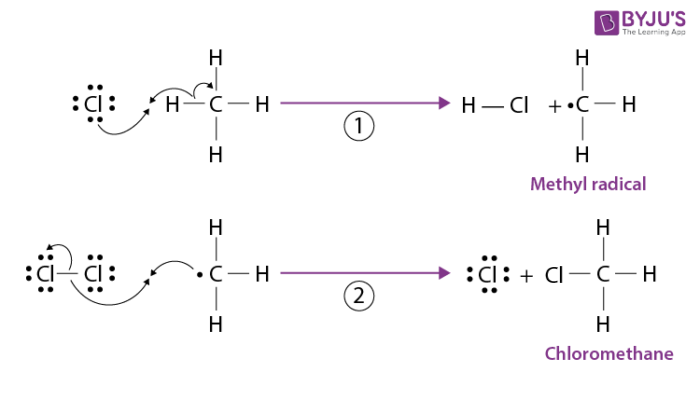 Propagation Step