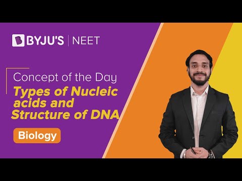 the structure of dna assignment