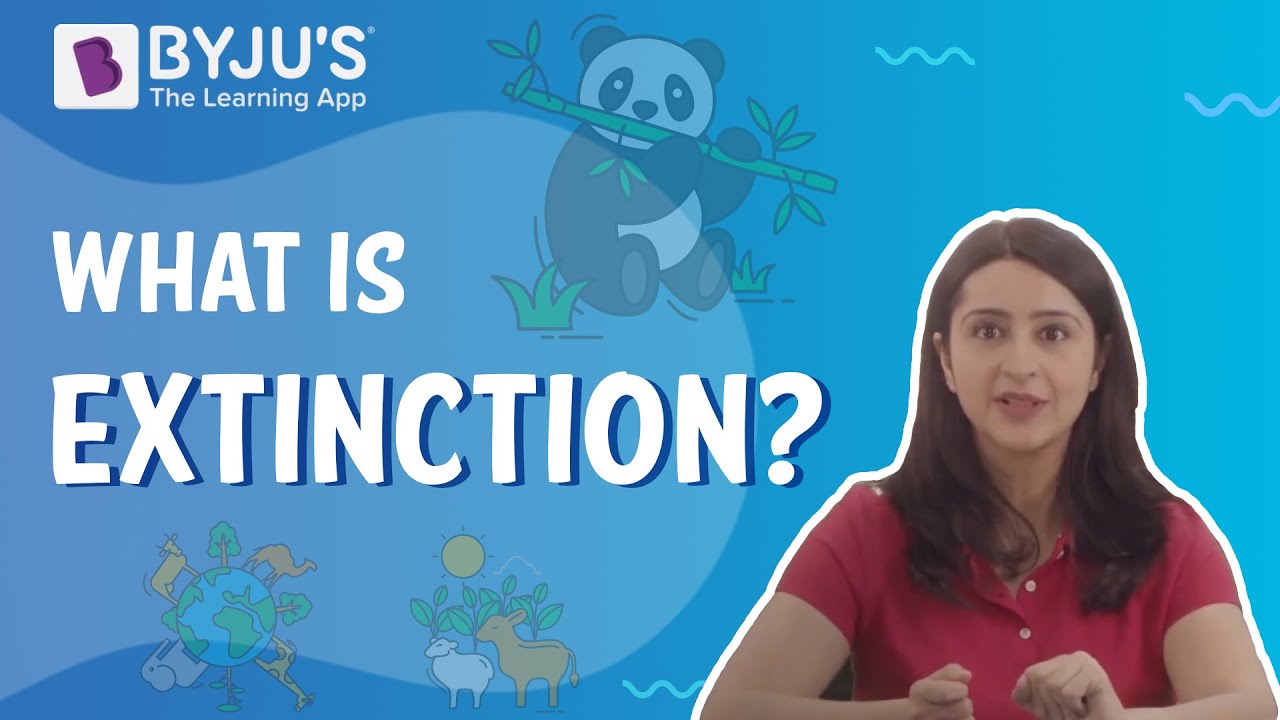 What is extinction? Biology Q&A