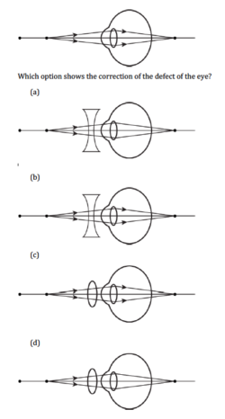 class 10 physics chapter human eye mcq online test