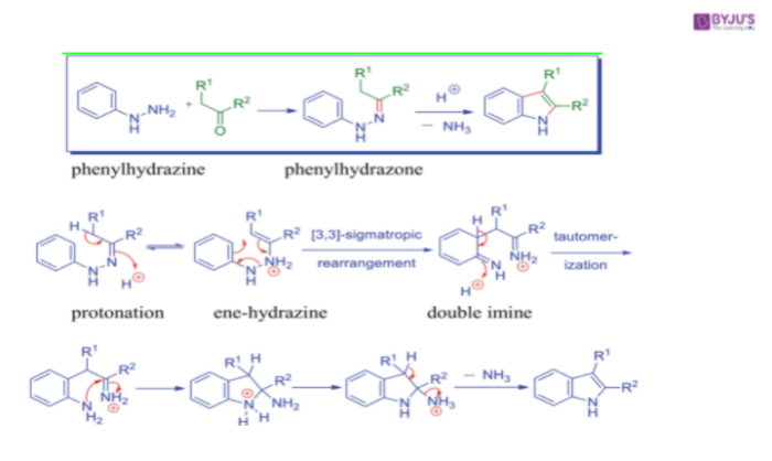 Fischer Indole Synthesis Reaction Mechanism