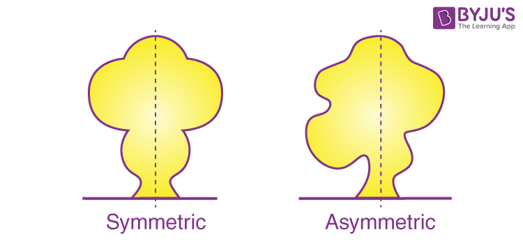 Symmetry and Asymmetrical Objects