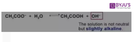 Acetate reacts with Water