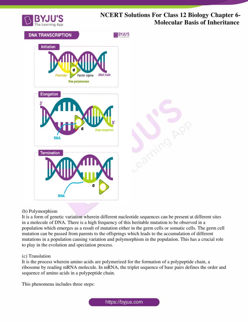 chapter 6 biology class 12 ncert solutions