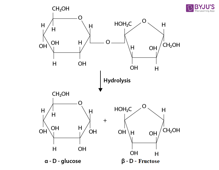 NCERT Solutions for Class 12 Chemistry Chapter 14 Biomolecules Q 7(a)