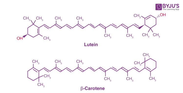 Structure of carotene and xanthophyll