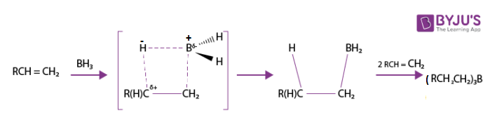 Hydroboration of terminal alkene to trialkylborane