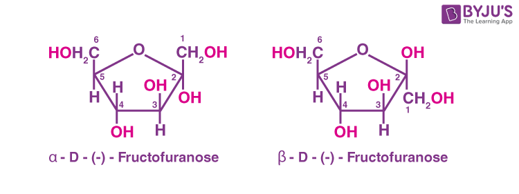 Anomers Of Fructose