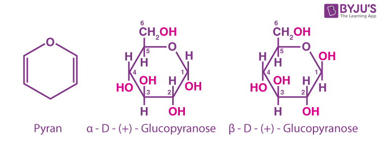 Glucose Cyclic Structure