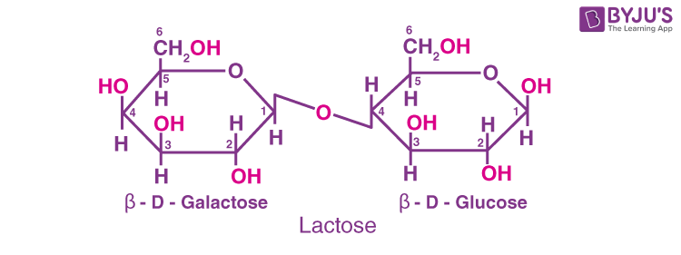 Lactose