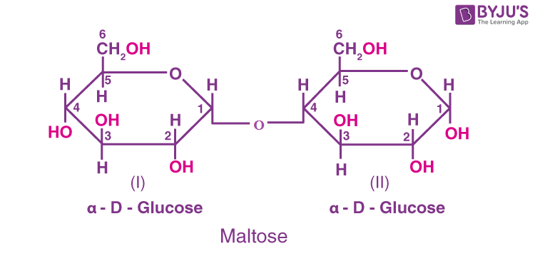 Maltose