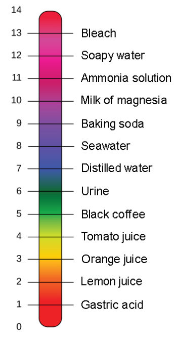 ph scale