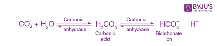 KVPY SA 2021 Biology Question 1