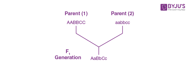 KVPY SA 2021 Biology Solved Question Paper