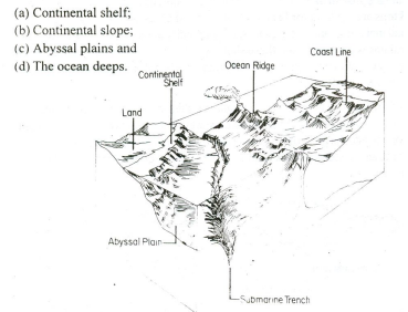 Ocean Floor, Overview, Features & Diagram - Video & Lesson Transcript