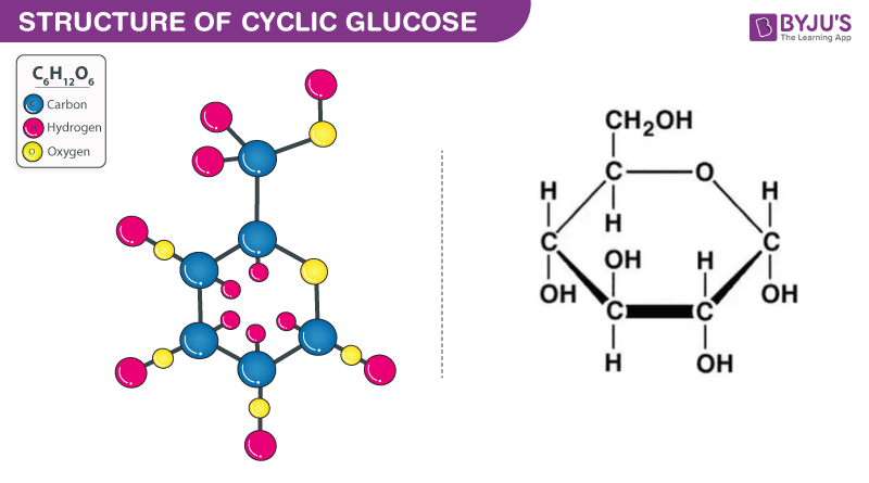 How Does Glucose Give You Energy?