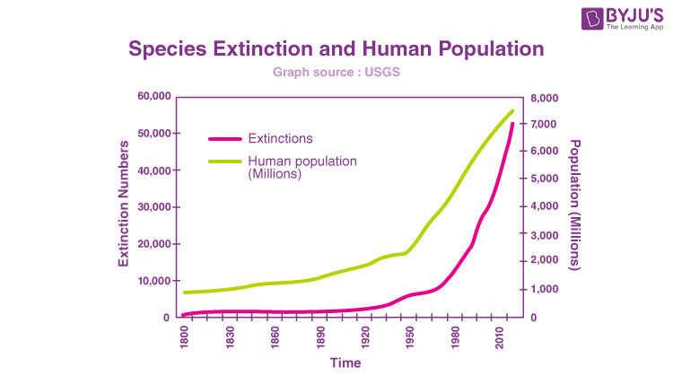 Pop  Holocene