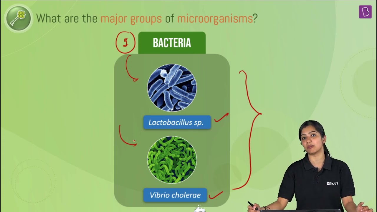 write an essay on microorganisms as friends or foes