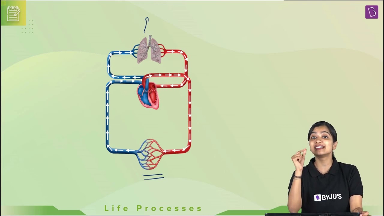 class 10 science case study questions with answers life process