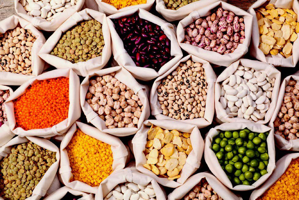 SOLVED: Without beans and other legumes are an excellent source of