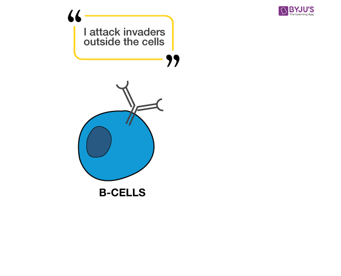 cell receptor