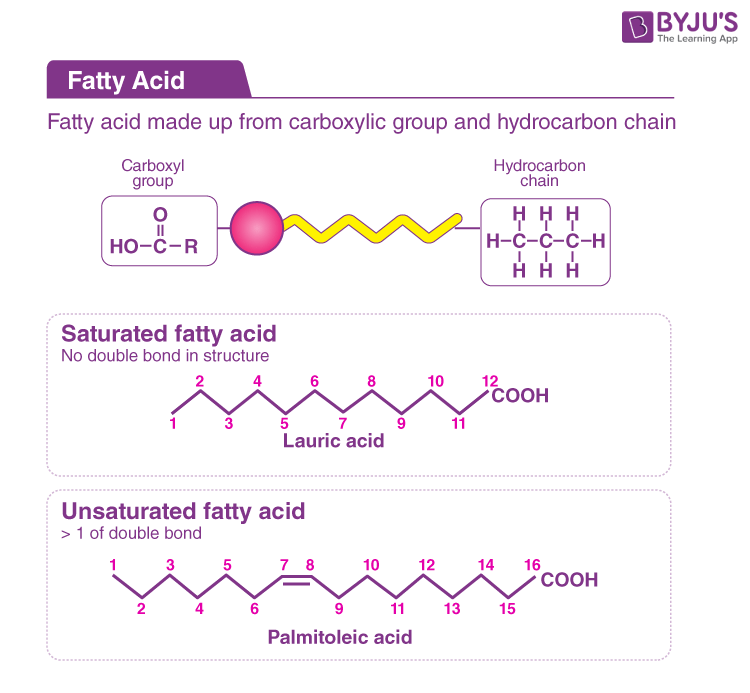 Fatty Acid Groups - What are Fatty Acids?, Classification, Productions ...