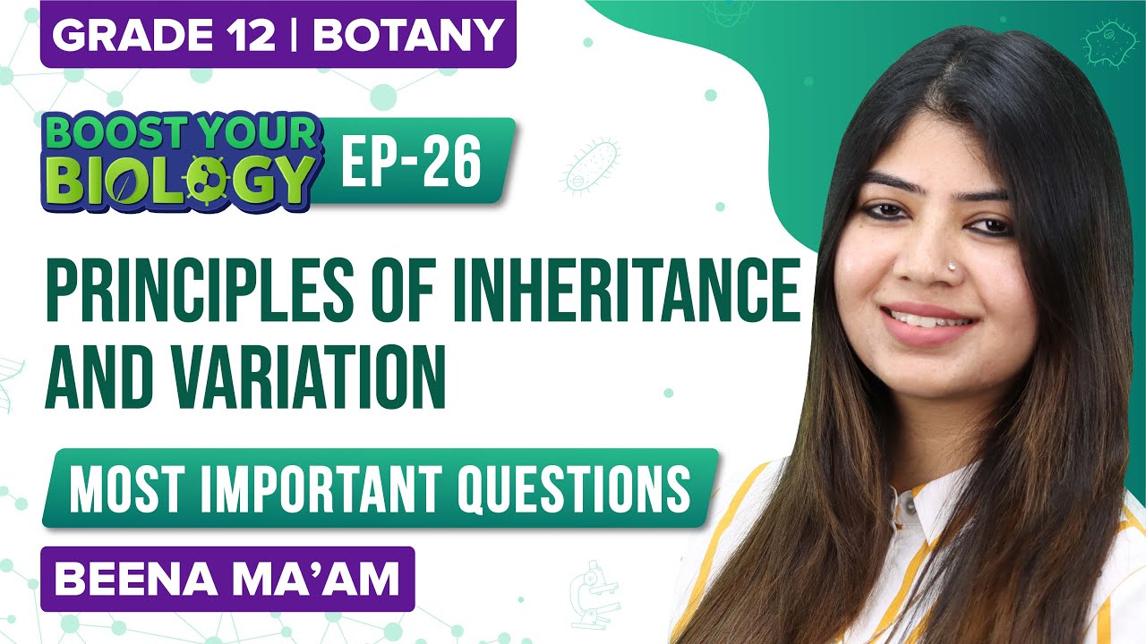 chromosome theory of inheritance