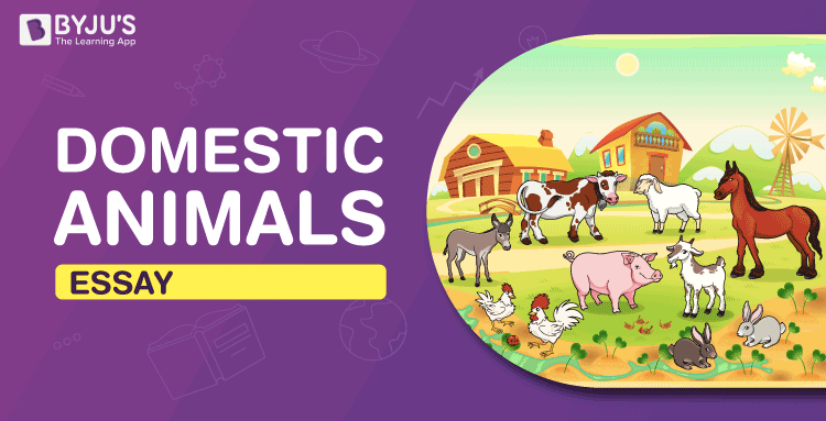 list of domestic animals