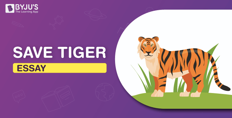 conservation of tiger essay