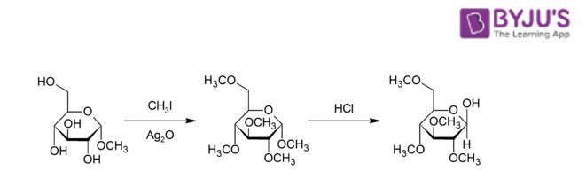 Electrophilic Methylation 1