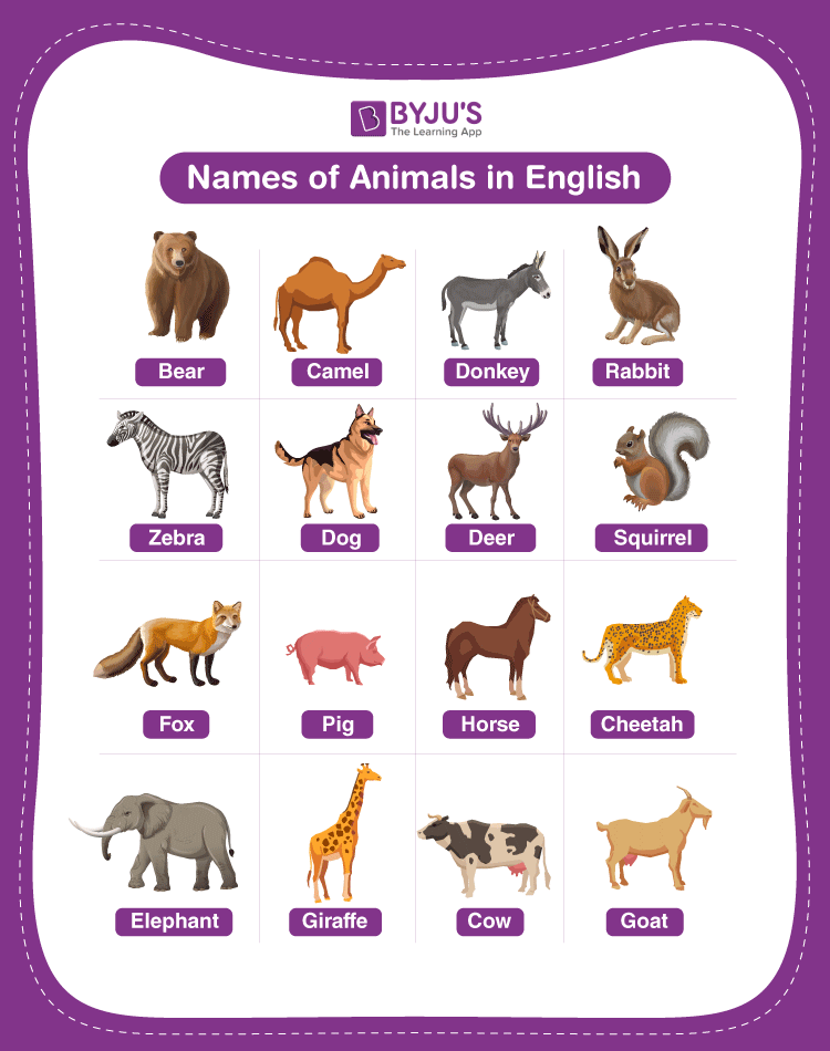 list of common animals