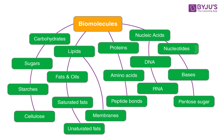 Biomolecules