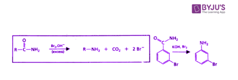 Hoffmann Rearrangement