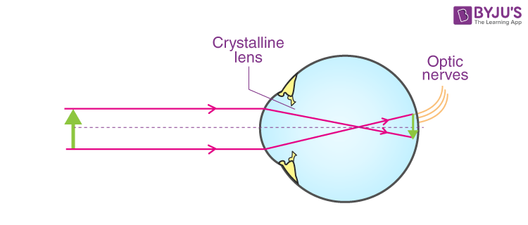 Refraction Of Light Through A Lens REFRACTION THROUGH A LENS