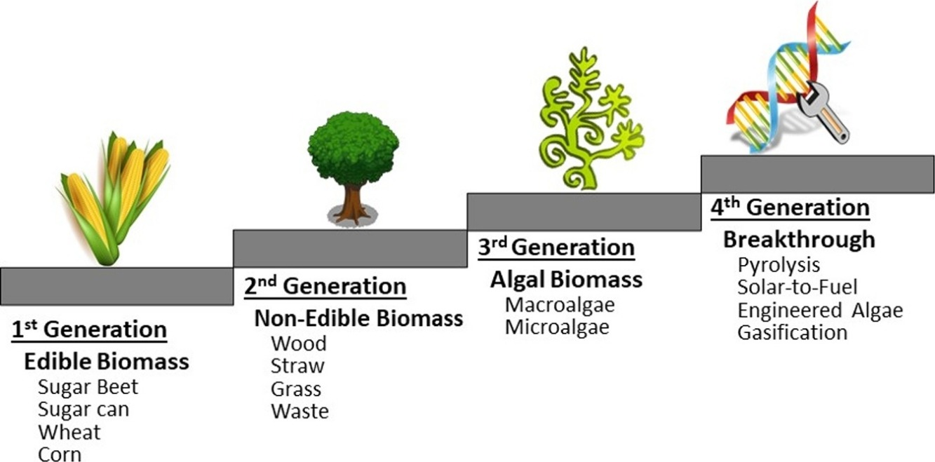  Image source: ScienceDirect
