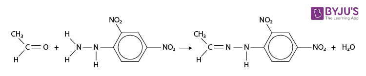 24 DNP Test 24 Dinitrophenylhydrazine 04