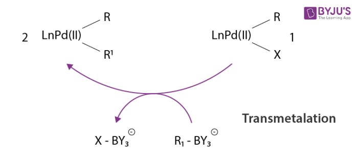Suzuki Coupling Reaction Definition Details And Mechanism With Examples