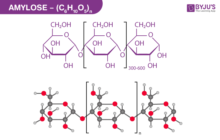 structural formula of amylose