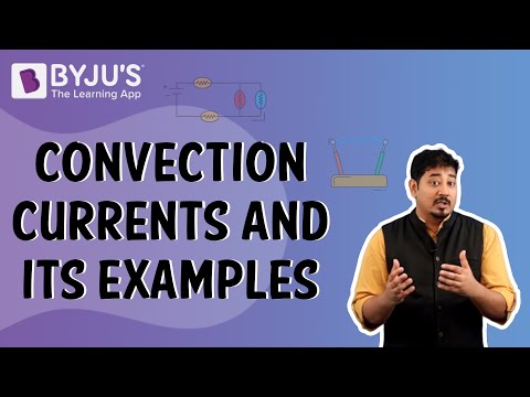 convection currents experiment