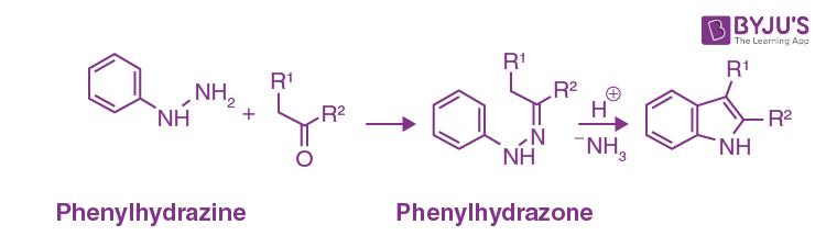 Fischer Indole Synthesis