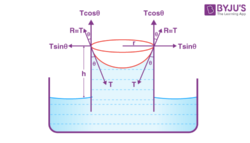 Surface Tension Questions - Practice Questions of Surface Tension with ...