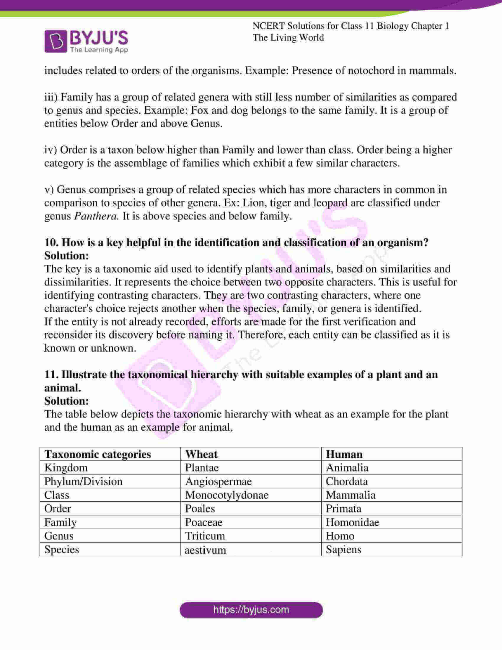 ncert solutions for class 11 biology chapter 1 3