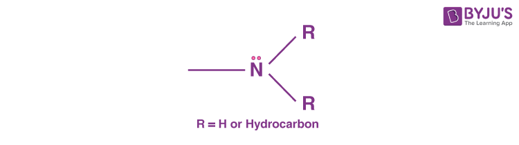 Amine Functional Group