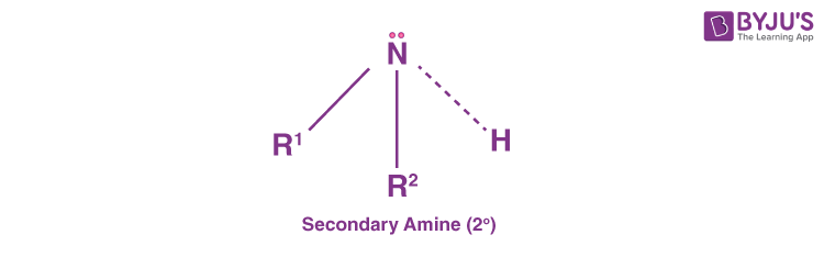 Secondary Amine