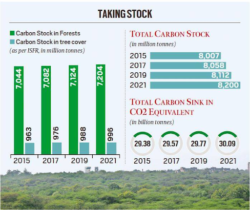What is Carbon Sink? What are India's Carbon Sink Commitments?