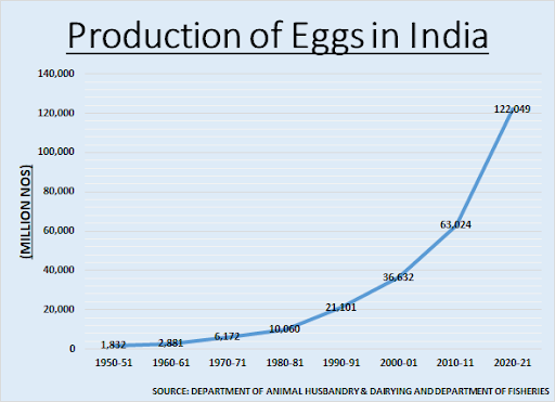 Production of eggs in India