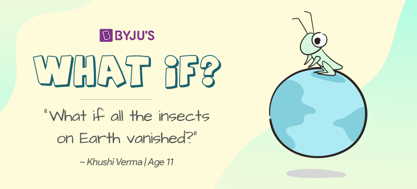 What if all the insects on earth vanished?